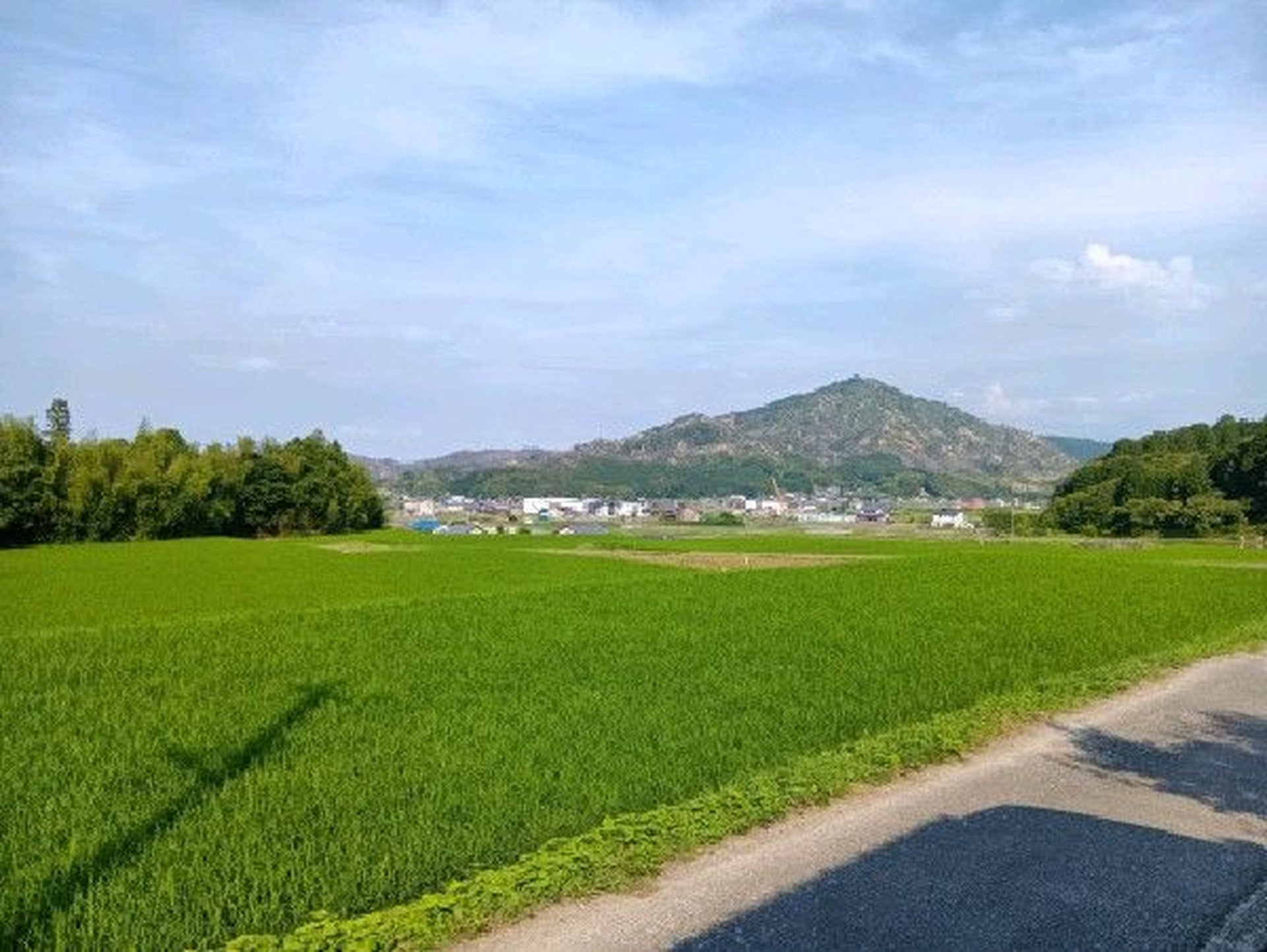 今治の田園風景と山